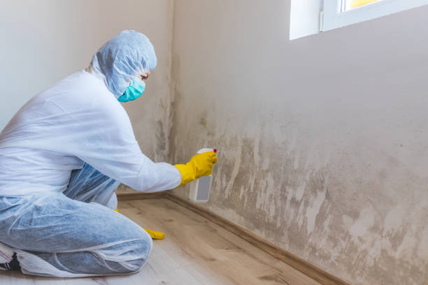 Licensed Crawl Space Mold Removal service in Grasonville, MD - WQB Mold Removal