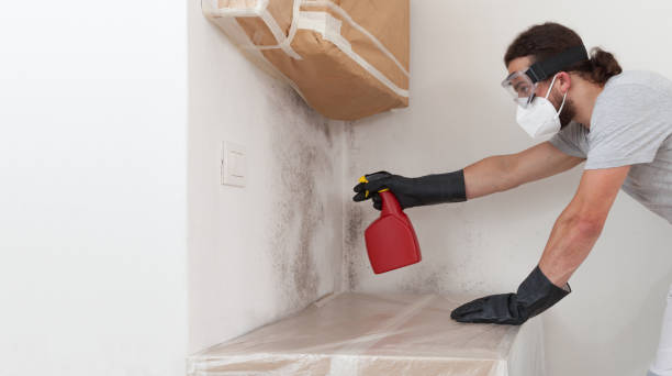 Professional Crawl Space Mold Removal technician working in Grasonville, MD