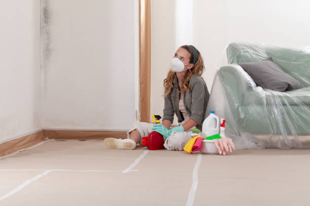 Reliable Crawl Space Mold Removal contractor in Grasonville, MD by WQB Mold Removal