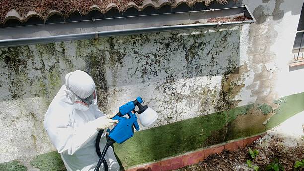 Top rated local Crawl Space Mold Removal specialists in Grasonville, MD